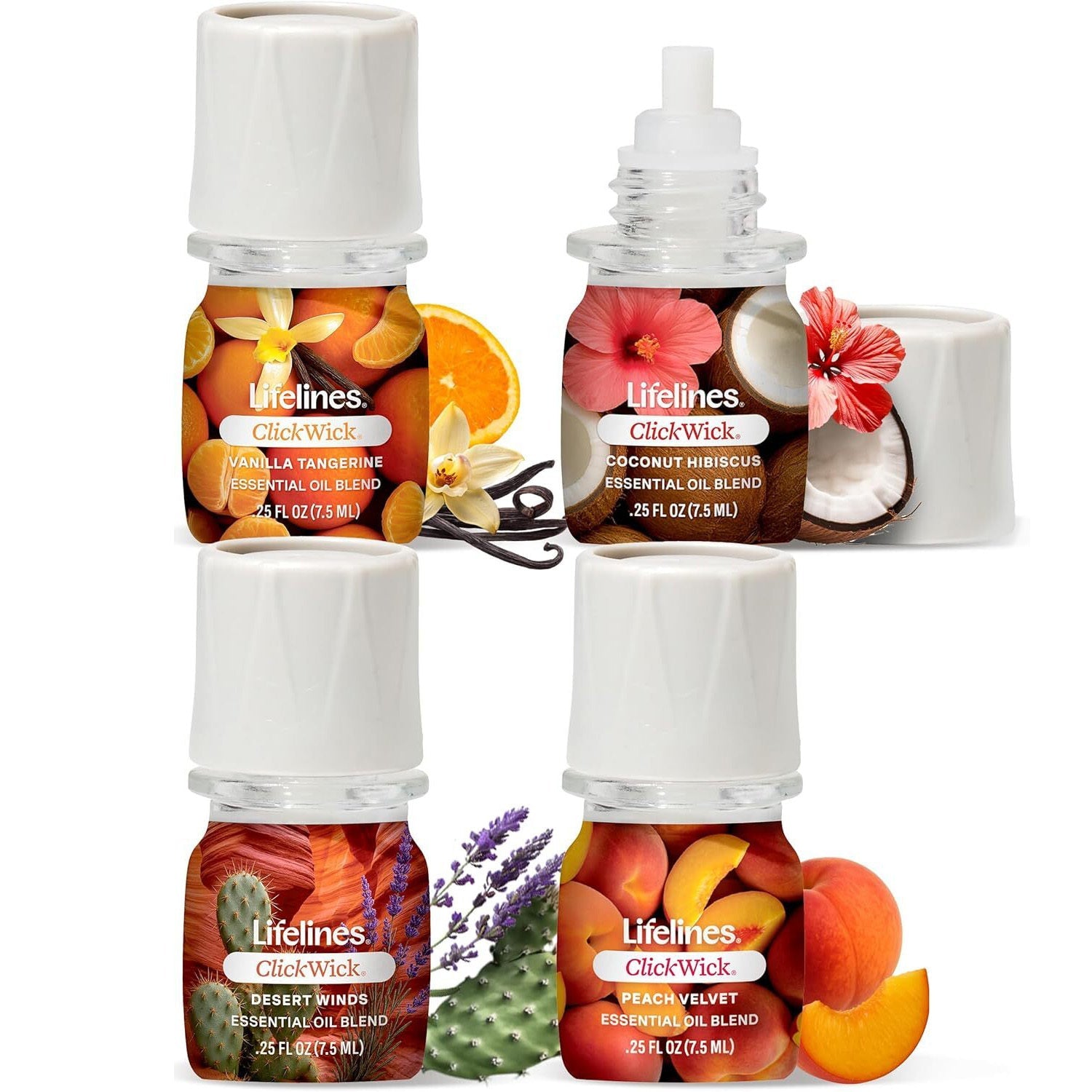 clickwick-sun-kissed-escape-collection-2034246.jpg
