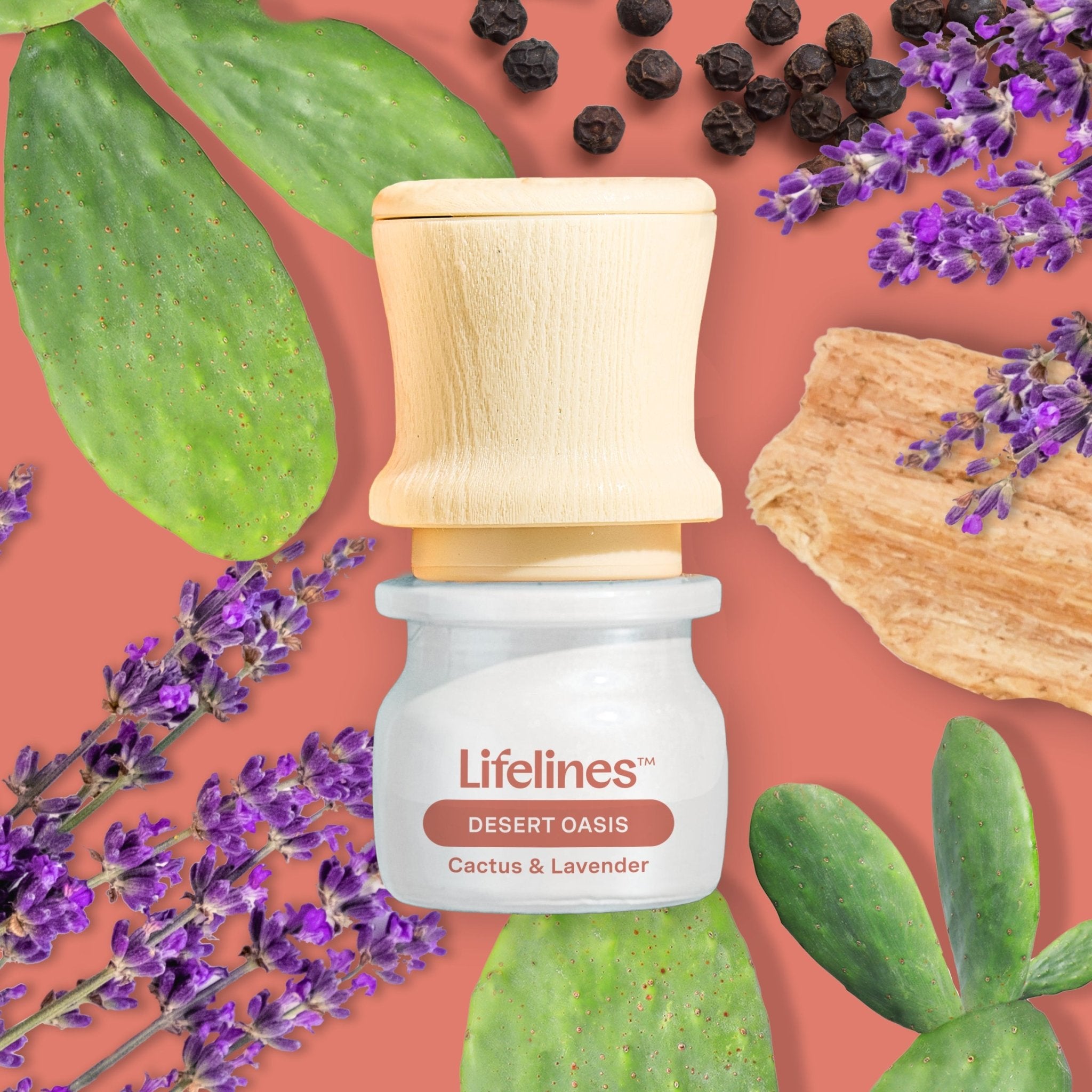 discovery-set-be-transported-5-oils-3ml-8499566.jpg