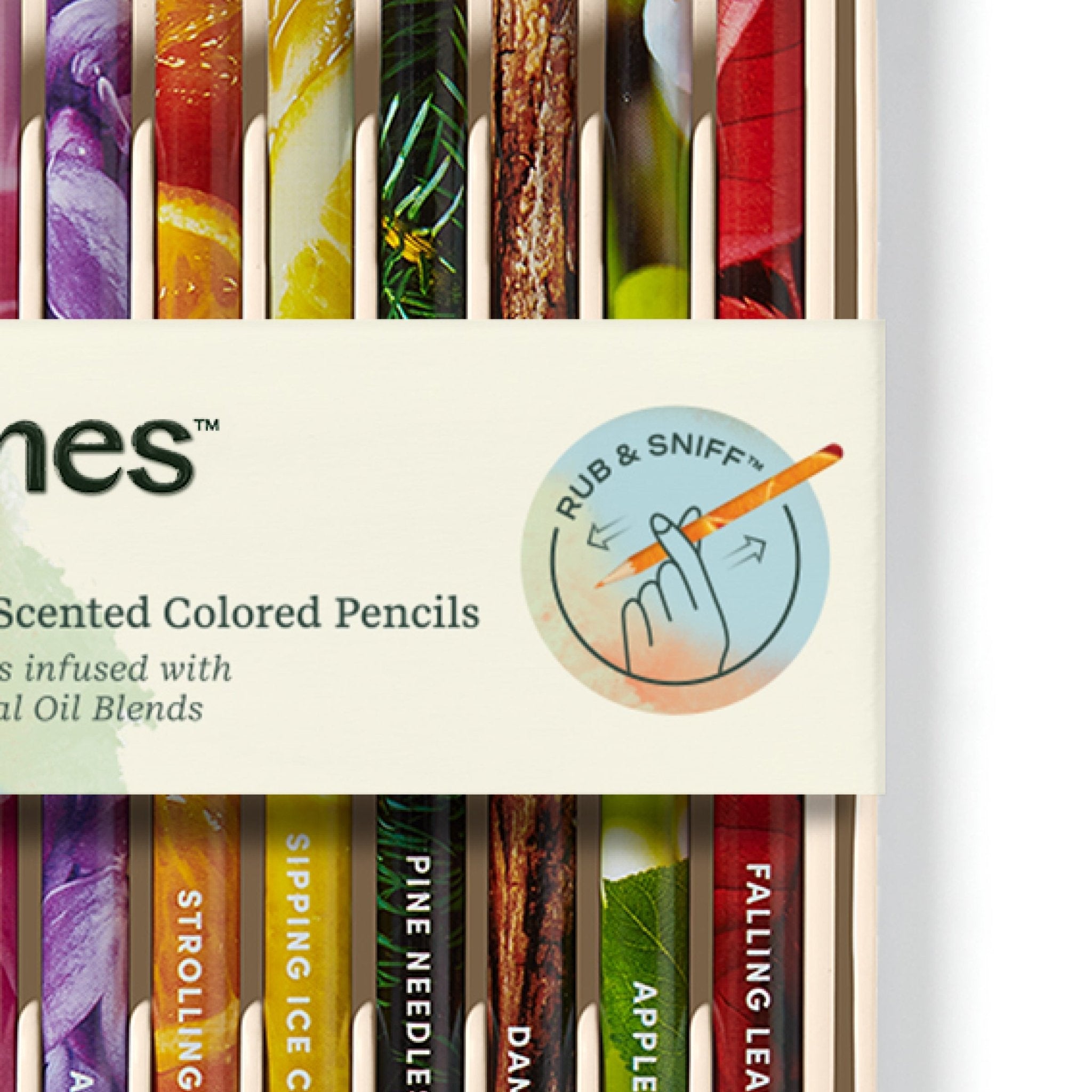 rub-sniff-scented-colored-pencils-classic-3720340.jpg