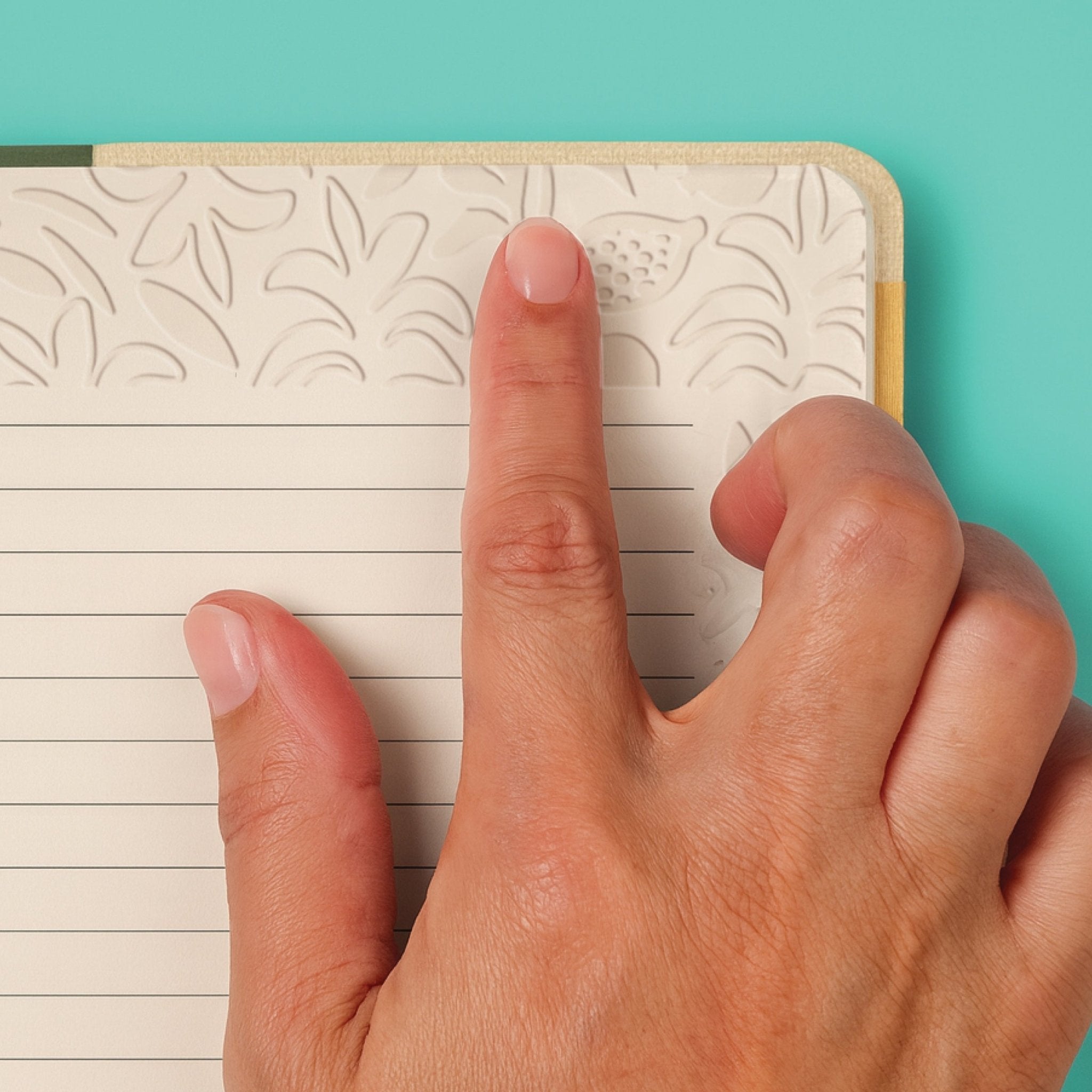 writing-wellness-journal-set-papaya-6420843.jpg